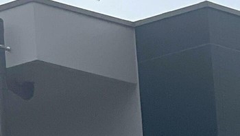 Kayaknya salah ambil barang deh burung yang satu ini. Foto: Bored Panda