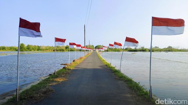 Ribuan bendera merah putih berkibar di Pantai Roro Inten, Purworejo, Minggu (3/8/2025).