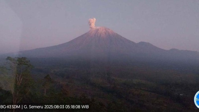 Gunung Semeru erupsi dengan letusan setinggi 900 meter di atas puncak pada Minggu (3/8/2025) pagi.