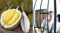 Kecewa Banget! Beli 2 Durian Rp 1,5 Juta Ternyata Masih Mentah