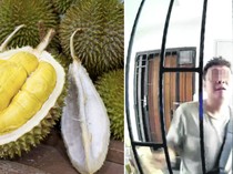 Kecewa Banget! Beli 2 Durian Rp 1,5 Juta Ternyata Masih Mentah