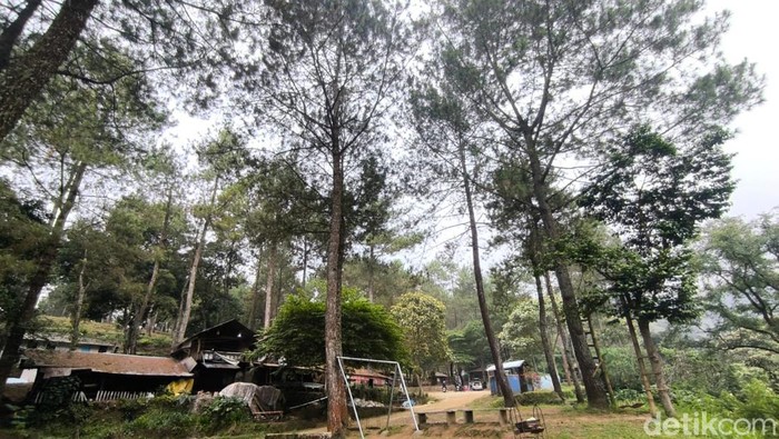 Suasana di perkemahan Ipukan Kuningan