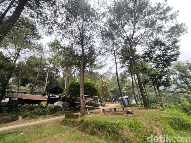 Pesona Perkemahan Ipukan Kuningan yang Tawarkan Kesejukan