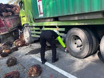 Tronton Tabrak 3 Truk Parkir di Pasangkayu, 2 Orang Tewas-5 Luka