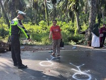 Kronologi Tronton Ngebut Tabrak 3 Truk Parkir Tewaskan 2 Orang di Pasangkayu