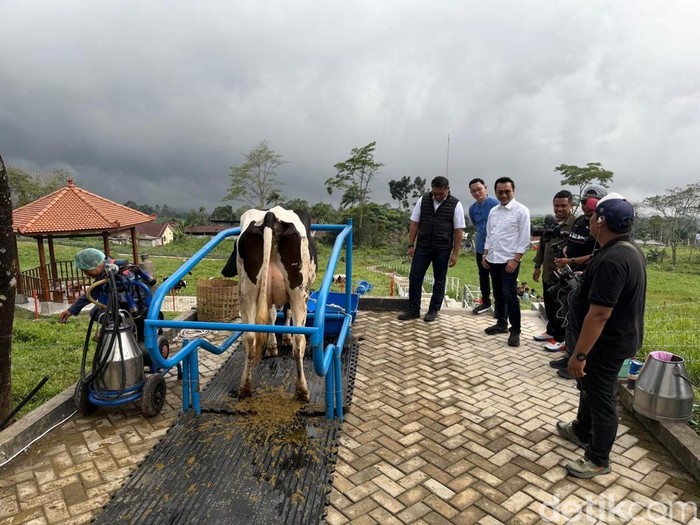 Wamentan, Sudaryono meninjau Balai Besar Pembibitan Ternak Unggul dan Hijauan Pakan Ternak (BBPTU-HPT) Baturraden, Kabupaten Banyumas, Minggu (3/8/2025) sore.