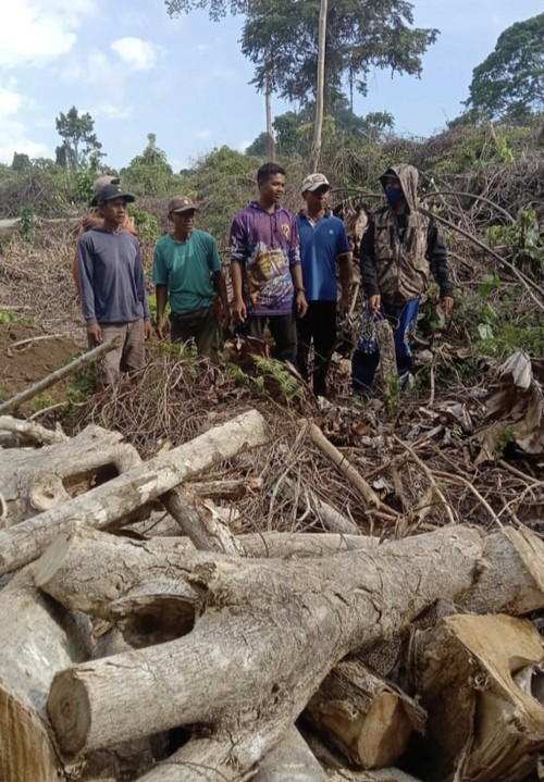 Warga dan Kades Labuan Kananga, Kecamatan Tambora, Kabupaten Bima, NTB, mengecek aktivitas pembabatan hutan di lereng Gunung Tambora oleh PT AWB, belum lama ini. (Istimewa)