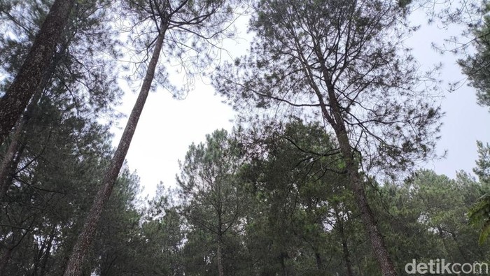 Wisata Bumi Perkemahan Ipukan