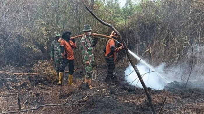 Area terbakar di Muara Enim.