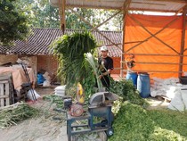 Kisah Pengusaha Pakan Ternak Kembangkan Bisnis Lewat KUR BRI