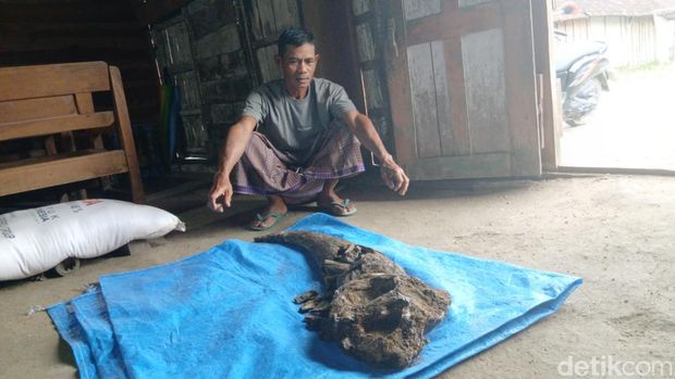 Fosil tanduk kerbau purba berada di rumah Ngadi di Dukuh Kedungpereng, Desa Gondel, Kecamatan Kedungtuban, Blora, Senin (4/8/2025).
