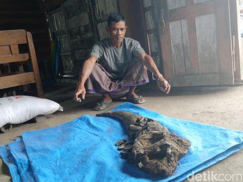 Fosil tanduk kerbau purba berada di rumah Ngadi di Dukuh Kedungpereng, Desa Gondel, Kecamatan Kedungtuban, Blora, Senin (4/8/2025).