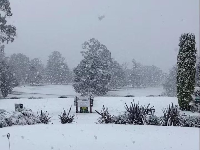 Snow blankets the grass at a Golf Club, in Armidale, New South Wales, Australia, August 2, 2025, in this screengrab obtained from social media video. Armidale Golf Club/via REUTERS Purchase Licensing Rights
