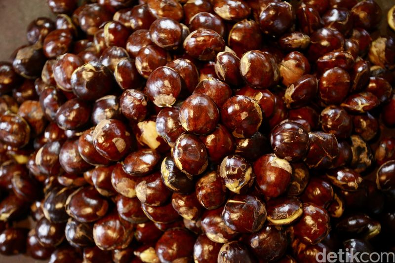Harga jengkol di Pasar Klender melonjak hingga Rp120 ribu/kg. Pedagang warteg terpaksa berhenti jual karena mahalnya harga dan minimnya pasokan.