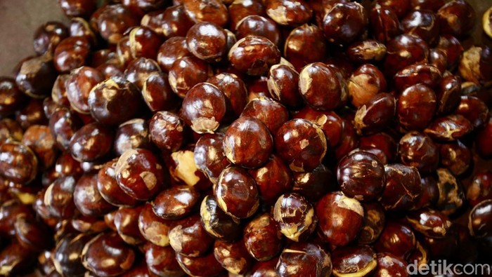 Cara Merebus Jengkol agar Cepat Empuk dan Tahan Lama