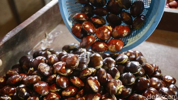 Harga jengkol di Pasar Klender melonjak hingga Rp120 ribu/kg. Pedagang warteg terpaksa berhenti jual karena mahalnya harga dan minimnya pasokan.