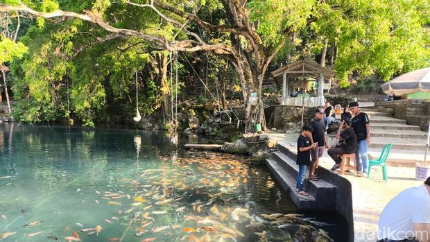 Para pengunjung saat sedang memberi makan ikan hias di Telaga Biru Cicerem Kuningan