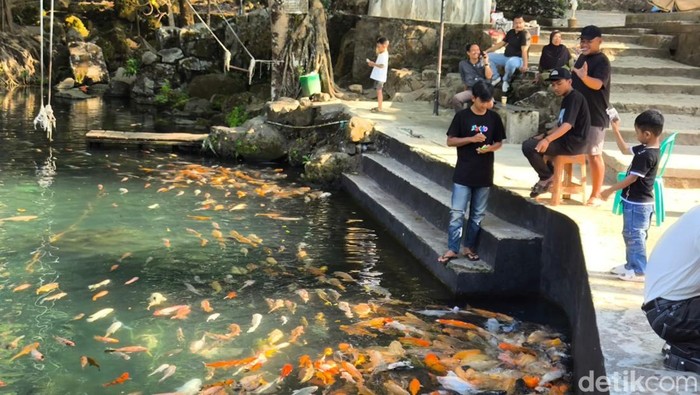 Para pengunjung saat sedang memberi makan ikan hias di Telaga Biru Cicerem Kuningan