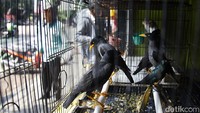 Menurut pedagang, Pasar Barito bukan hanya tempat mencari nafkah, tapi juga telah menjadi bagian dari sejarah dan ekosistem ekonomi warga sekitar. Mereka menuntut agar ada solusi yang lebih manusiawi dan adil sebelum proses relokasi dilakukan.  