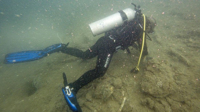 Prajurit AL Survei Kapal Perang AS yang Karam di Selat Sunda Seorang penyelam dari Indonesia Naval Historical Diver (INHD) Dinas Sejarah Angkatan Laut (Disjarahal) mengangkat amunisi saat melakukan survei bawah laut di Kapal Angkatan Laut Amerika USS Houston yang karam di Perairan Selat Sunda, Cilegon, Banten, Senin (4/8/2025). Survei tersebut dilakukan dalam rangka pencarian data dan lokasi untuk acara penyelaman sejarah sekaligus peletakan karangan bunga, yang akan dilakukan oleh Disjarahal bersama US Navy di bangkai kapal USS Houston pada 1-4 September 2025. ANTARA FOTO/Muhammad Adimaja/nym.