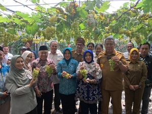 Benyamin Davnie-Tinawati Andra Soni Hadiri Panen Anggur Lokal di Tangsel