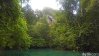 Bagi yang suka tantangan fisik, mendaki Puncak Ketepu adalah keharusan. Hanya satu jam dari danau, puncak karst setinggi 400 meter ini memberikan pemandangan gugusan karst yang luar biasa.