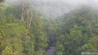Perjalanan menuju Danau Nyadeng penuh tantangan. Dari Tanjung Redeb, ibu kota Berau, wisatawan harus menempuh perjalanan darat selama 4-5 jam dengan kendaraan roda empat, melintasi jalanan yang sebagian masih alami.