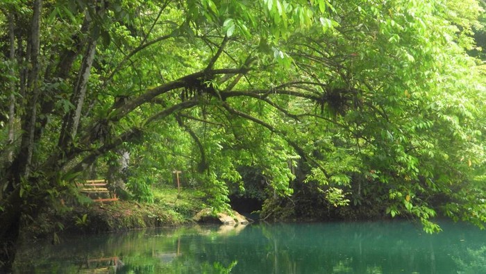 Danau Nyadeng. Foto: Oktavian Balang/detikKalimantan