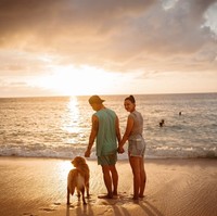 Fandy Christian dan Dahlia Poland resmi menikah pada November 2015. Selalu terlihat kompak dan mesra, kini pernikahan keduanya berada di ujung tanduk. Dahlia Poland dikabarkan menggugat cerai sang suami. Foto: Instagram/@fandych