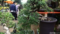 Pameran tahunan yang selalu dinanti warga ibu kota ini menyuguhkan beragam koleksi tanaman hias hingga hewan peliharaan eksotis, menjadikannya destinasi wajib bagi para pecinta flora dan fauna.