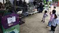 Selama sebulan penuh, Flona 2025 juga akan diramaikan dengan berbagai kegiatan menarik, mulai dari lomba tanaman hias, talkshow edukasi lingkungan, hingga klinik hewan gratis.