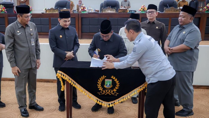 Gubernur Banten, Andra Soni