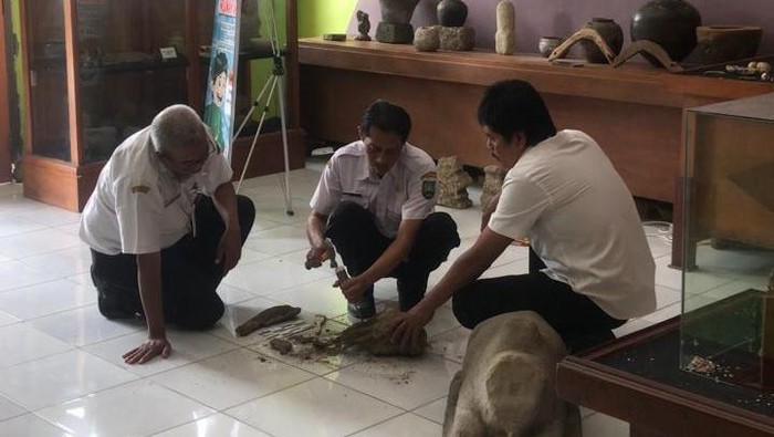 Petugas bidang kebudyaan Blora ketika memeriksa fragmen atau pecahan kecil diduga bagian dari kerbau purba. Foto diunggah Selasa (5/8/2025).