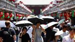 Jepang Panas Ekstrem, Catat Rekor Suhu Tertinggi Sepanjang Sejarah