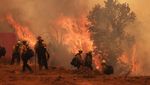Kebakaran Gifford Melalap 65 Ribu Hektar Lahan di Lereng Bukit California