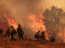 Kebakaran Gifford Melalap 65 Ribu Hektar Lahan di Lereng Bukit California