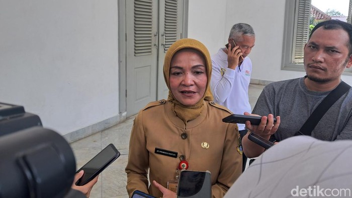 Kepala Dinas Kesehatan Provinsi Banten Ati Pramudji Hastuti.