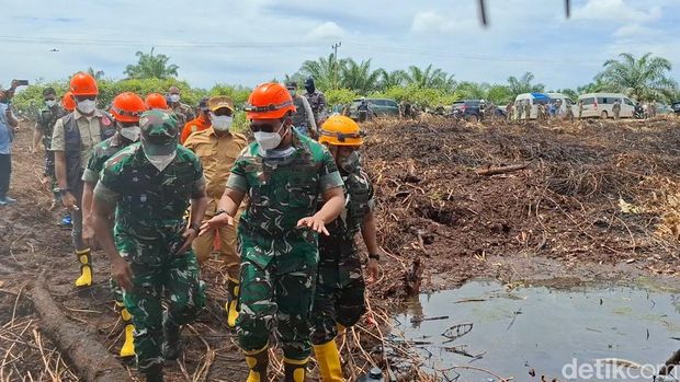 Pangdam Bukit Barisan Mayjen TNI Rio Firdianto usai memadamkan karhutla di Rohil, Riau. (Raja Adil Siregar/detikSumut)