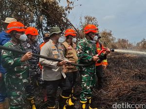 Pangdam I/BB Padamkan Karhutla di Rohil, Siapkan 920 Prajurit
