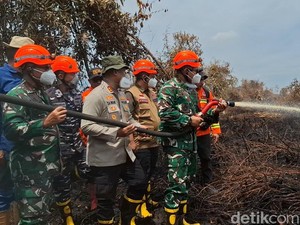 Pangdam I/BB Padamkan Karhutla di Rohil, Siapkan 920 Prajurit