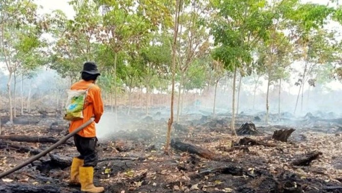 Pemadaman hari ke-10 dilakukan satgas darat dan udara di Muara Enim.