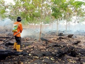 Karhutla 10,3 Hektare di Muara Enim Padam, Tim Kini Fokus Pendinginan