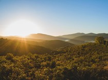 100 Ucapan Selamat Pagi Bahasa Inggris dan Artinya, Good Morning!