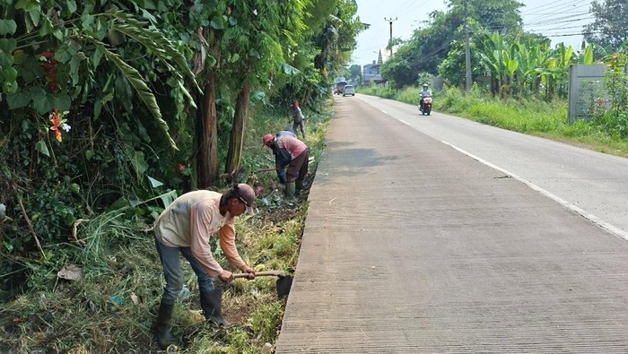 Pemkab Bogor