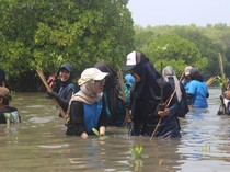 Perdana! Universitas Pertamina Tembus Top 25 THE Impact Rankings 2025