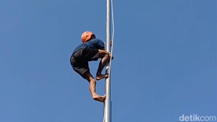 Petugas BPBD Lumajang memanjat tiang bendera
