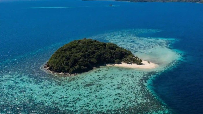 Tetangga Indonesia Ini Jadi Negara Pertama yang Presiden dan Menterinya AI
