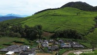 Kabut menyelimuti Kampung Barusel