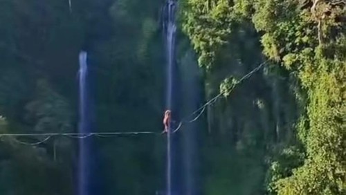 Aksi berbahaya dilakukan WNA di Air Terjun Sekumpul, Kecamatan Sawan, vira di media sosial.