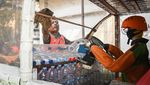 Bukan Perahu Biasa, Ini Armada dari Limbah Botol Plastik